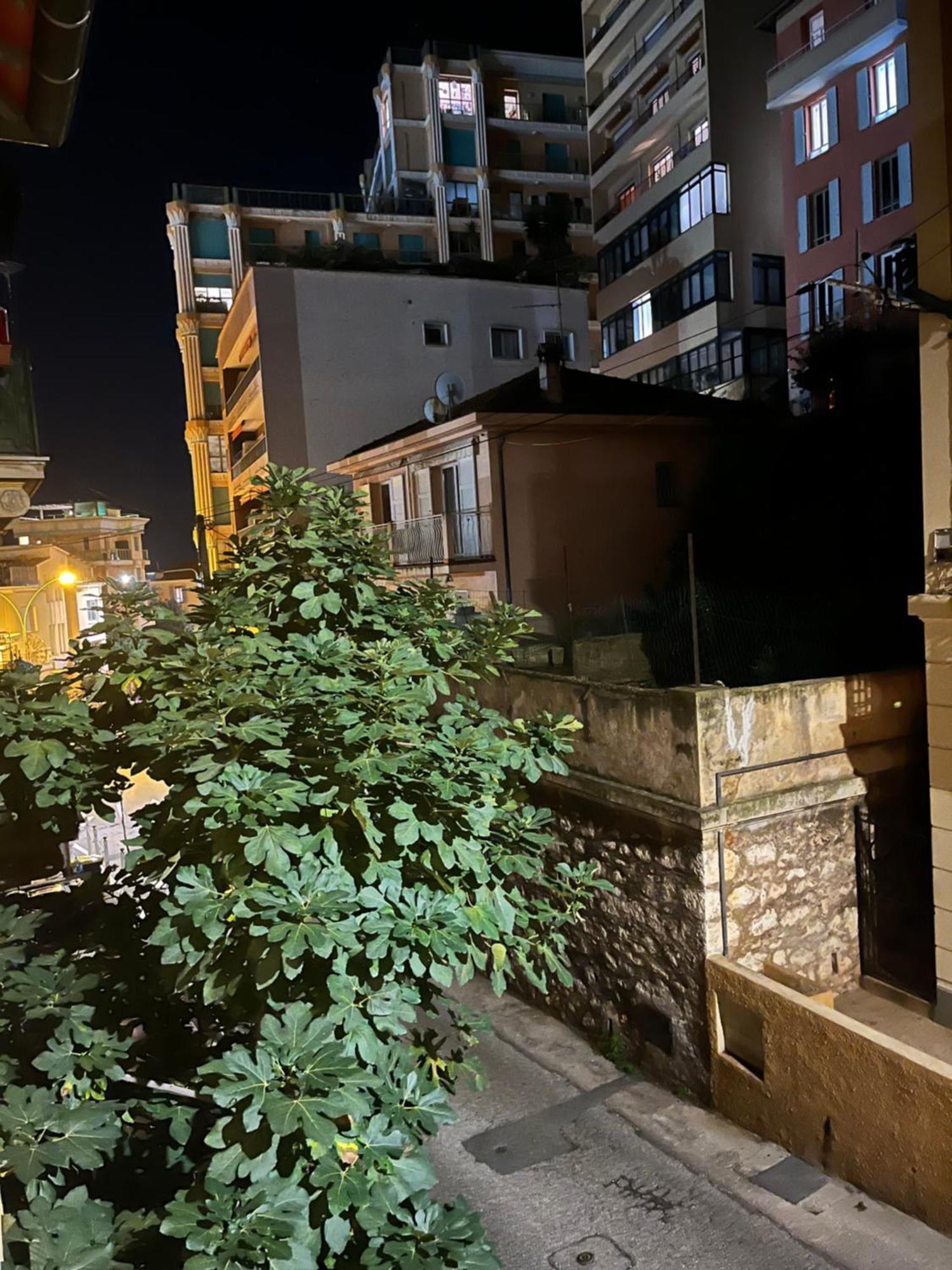 ボーソレイユDuplex A La Frontiere De Monacoアパートメント エクステリア 写真